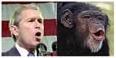 Bush es un primate