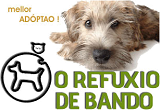 Adopta animales abandonados